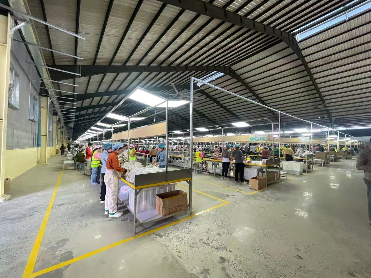 Synberry Cambodia Factory Production Line