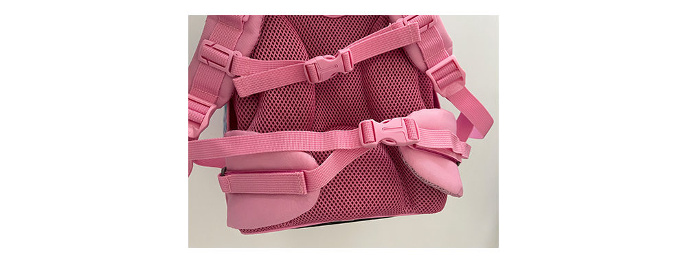 A chest buckle and waist belt of backpack