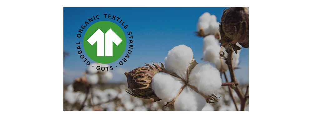 Sustainable organic cotton cultivation field for eco-friendly bag manufacturing showcasing natural agriculture practices